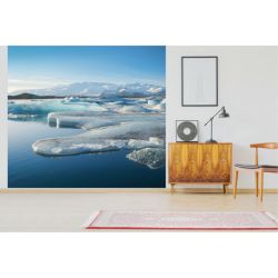 SEA ICE poster