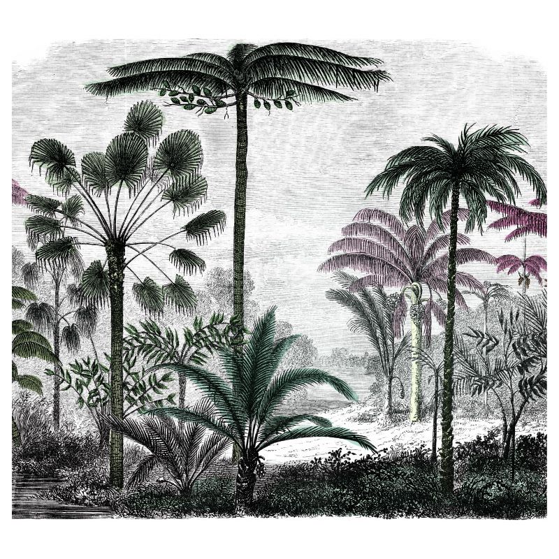 COLOURED PALM TREE ENGRAVING  Poster - Livingroom poster