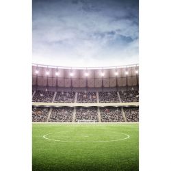 FOOTBALL STADIUM Poster