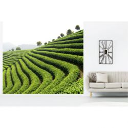GREEN TEA poster