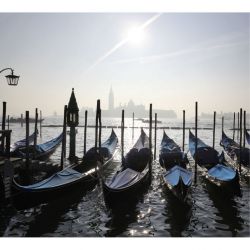 VENICE poster