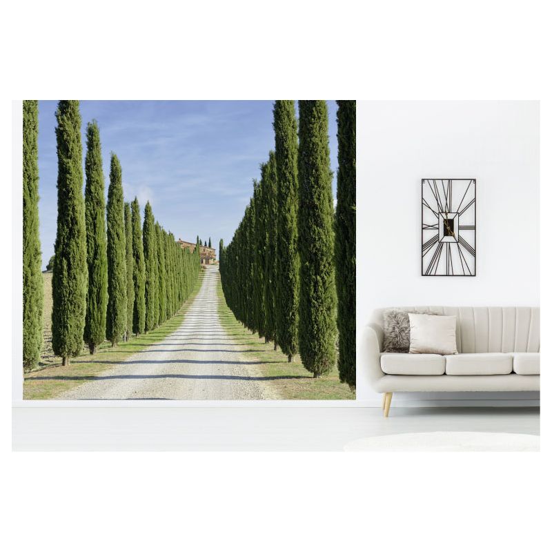 IL CAMPO LIVIO poster