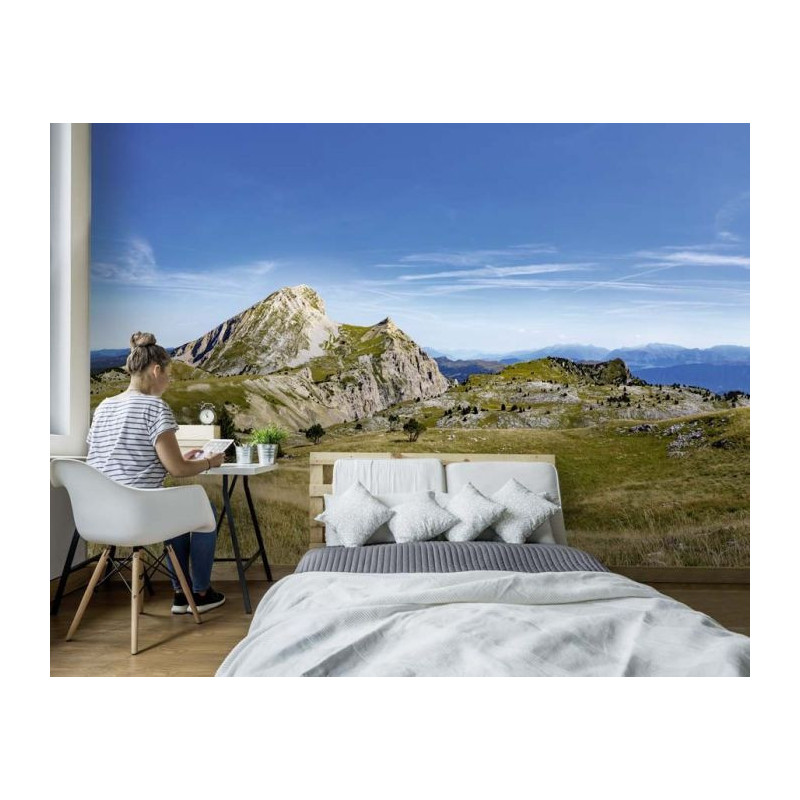 Póster DECORACIÓN VERCORS