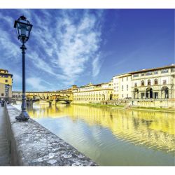 FLORENCE poster
