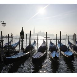 Papel pintado VENECIA