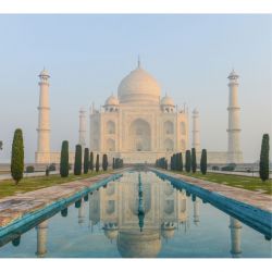 Papel pintado TAJ MAHAL