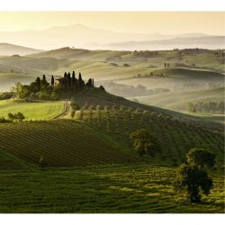 Papier peint SAN QUIRICO