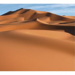 Papier peint SAHARA