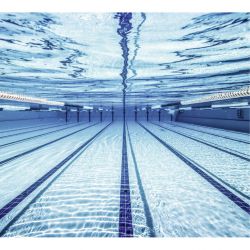 Papel pintado PISCINA