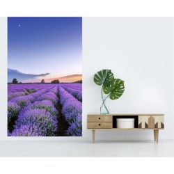 Papier peint Provence PARFUM DE L'AUBE