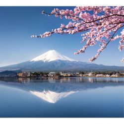 Papel pintado MONTE FUJI