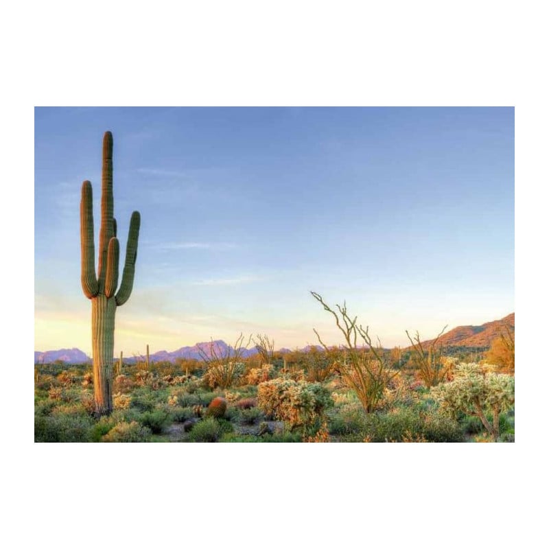 SORONA DESERT canvas print - Xxl canvas prints