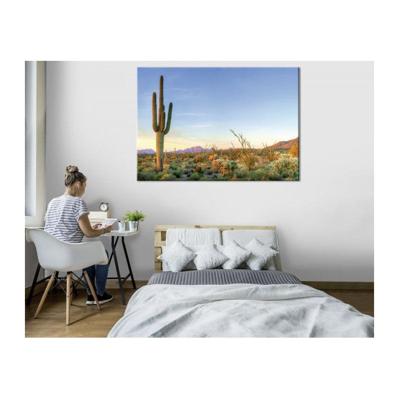 SORONA DESERT canvas print
