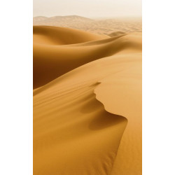 SAHARA DESERT Wall hanging