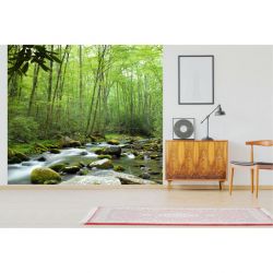Papel pintado BOSQUE DE SHERWOOD