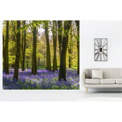 HYACINTH FOREST Wallpaper