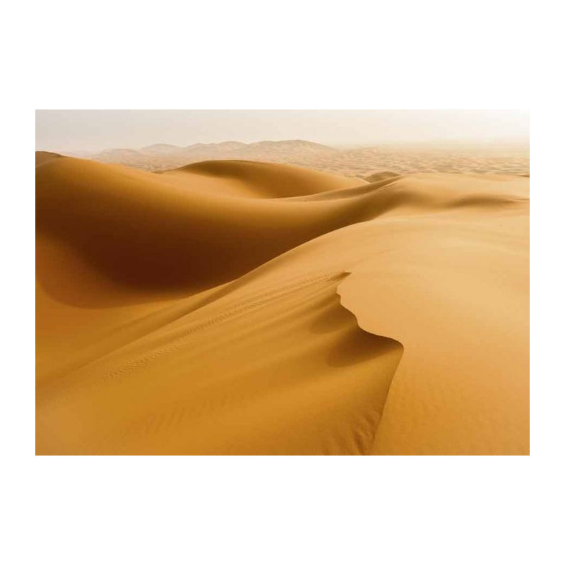 SAHARA DESERT Canvas print