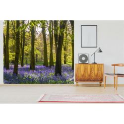 HYACINTH FOREST Wallpaper