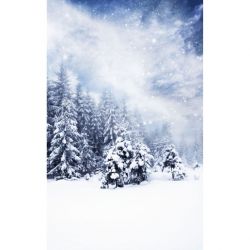 Papier peint SOUS LA NEIGE