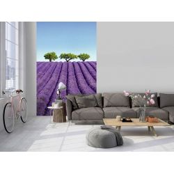 Papel pintado COLOR LAVANDA