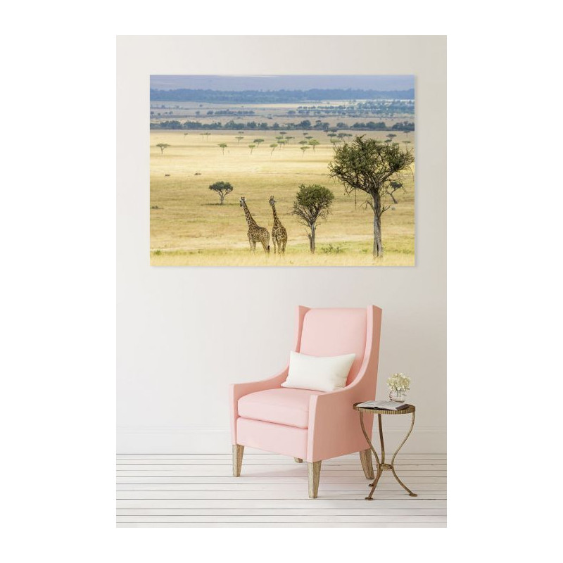 GENTLE SAVANIA canvas print