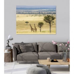 GENTLE SAVANIA canvas print