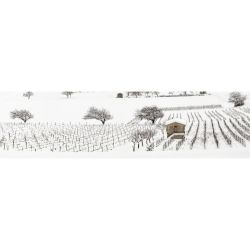 Brise vue VIGNES SOUS LA NEIGE