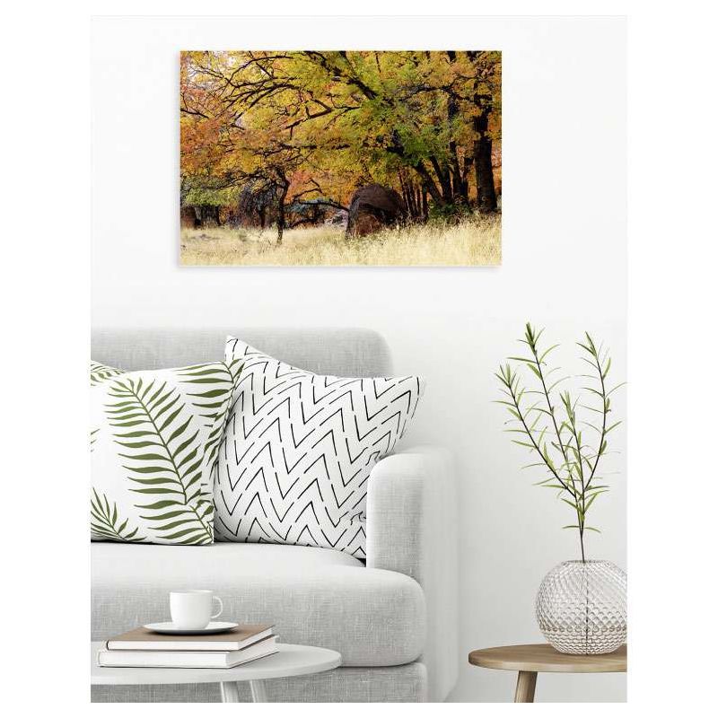 FAUVE canvas print