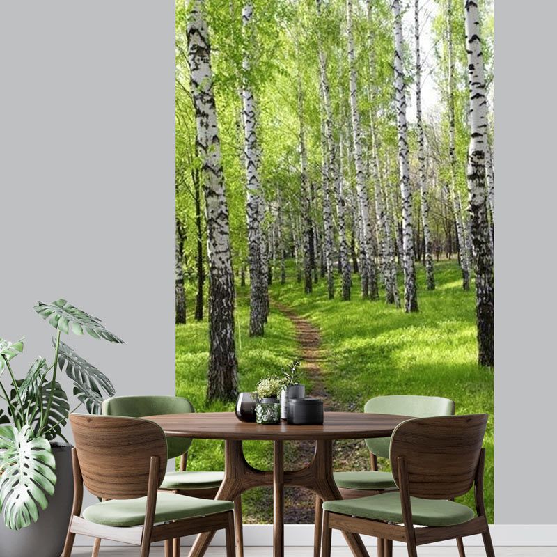 Tenture murale photo foret de bouleau