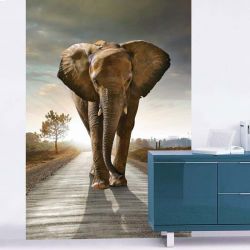 Tenture murale éléphant en photo