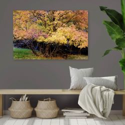 Pintura de naturaleza paisaje otoñal