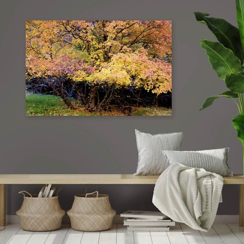 Cuadro mural de un bosque en otoño : lienzo de alta calidad