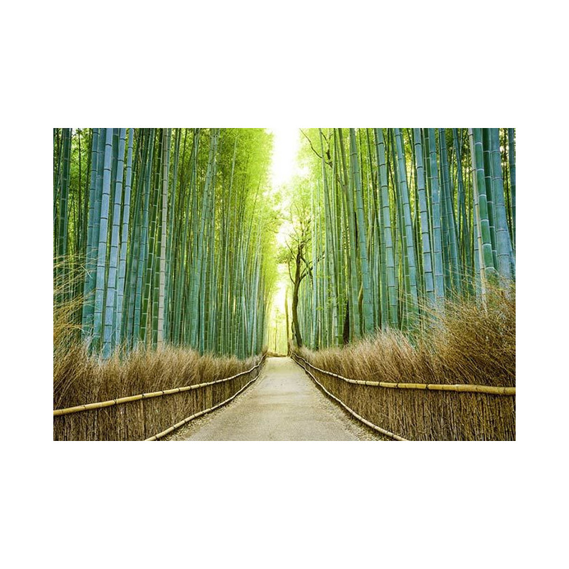 BAMBOO ALLEY Poster - Panoramic poster