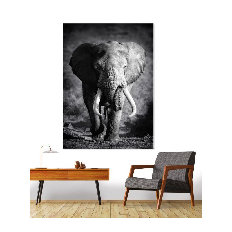 Tableau ÉLÉPHANT SOLITAIRE