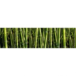 Brise vue BAMBOOS