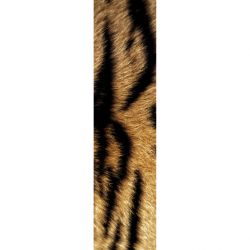 BENGAL TIGER wall hanging