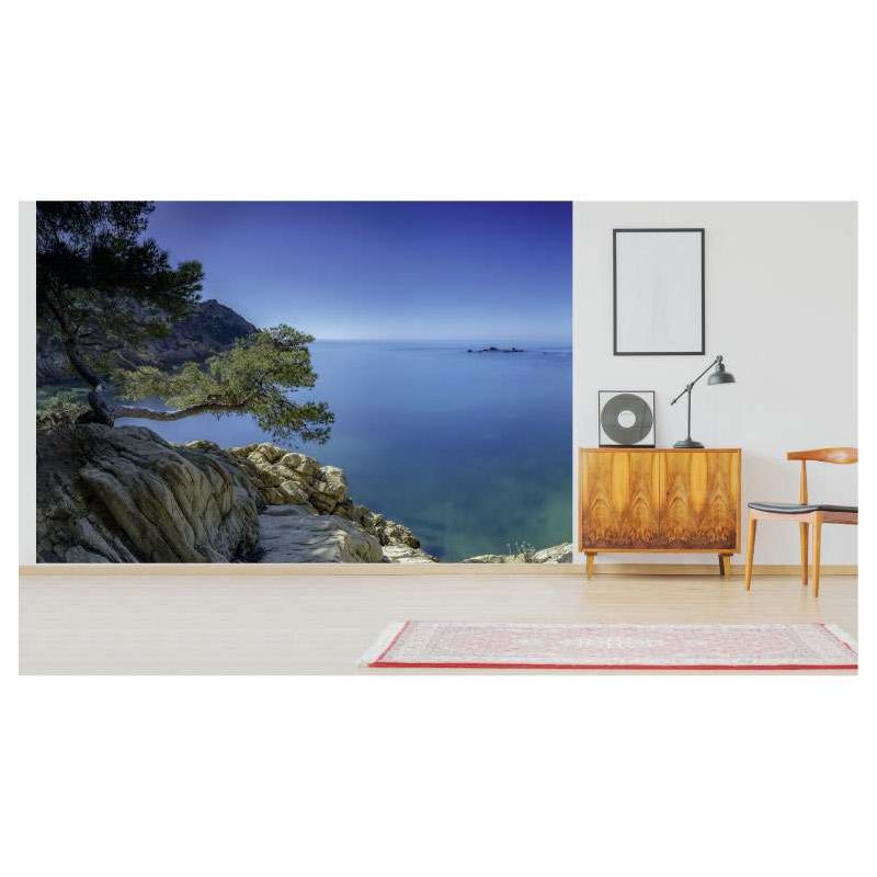 Poster panoramique falaise de la COTE BLEUE