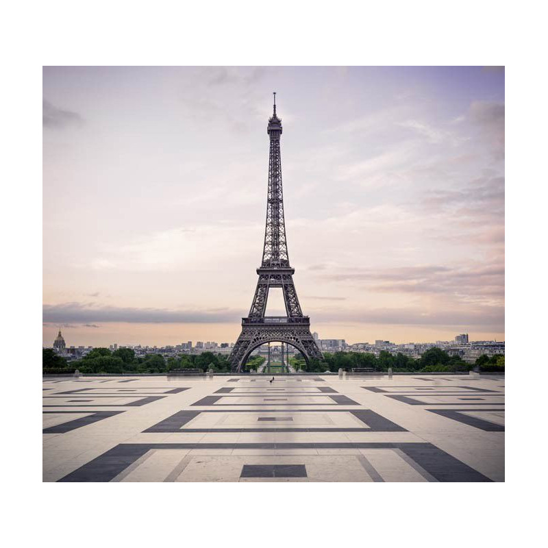 Papier peint panoramique ESPLANADE TROCADERO - Papier peint paris