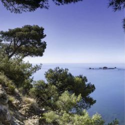 CALANQUE DE MEJEAN