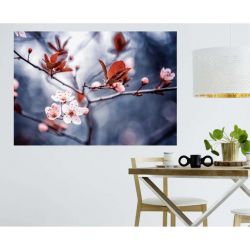 Poster LA POESIE DU SAKURA