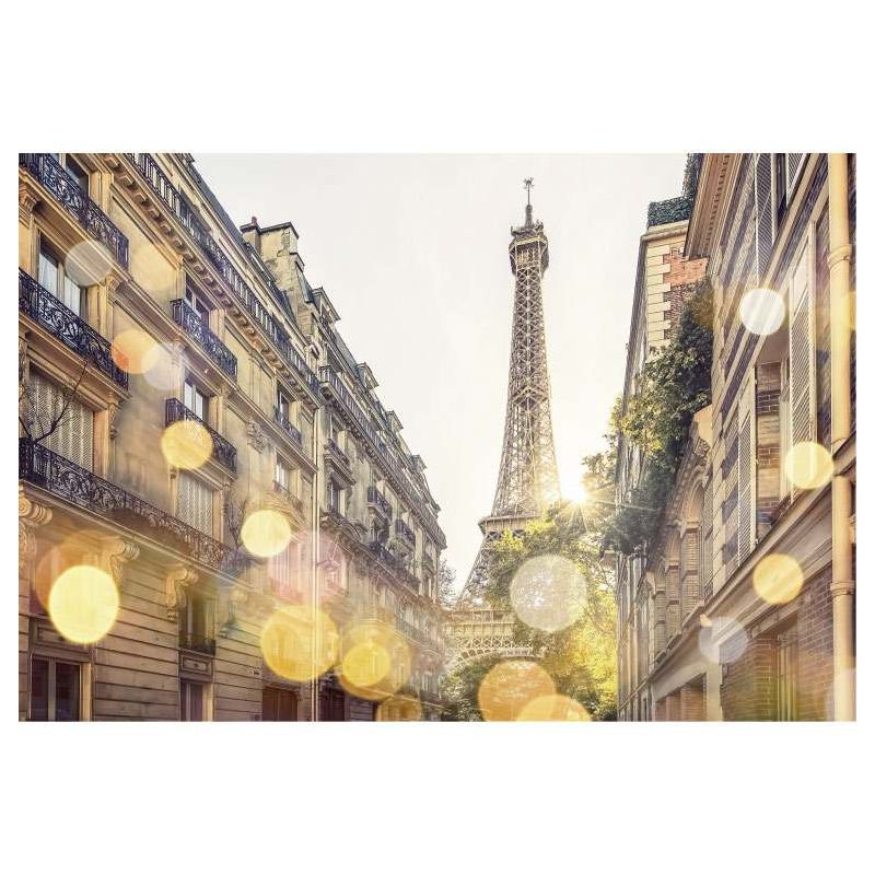 THE GLITTER OF PARIS poster - Paris poster