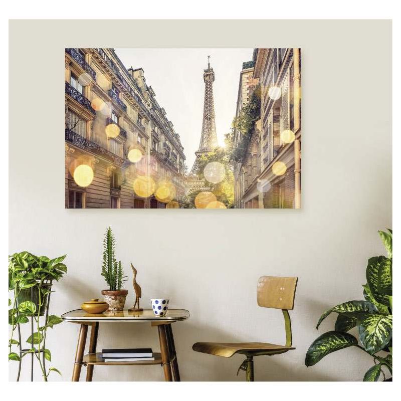 Poster LES PAILLETTES DE PARIS