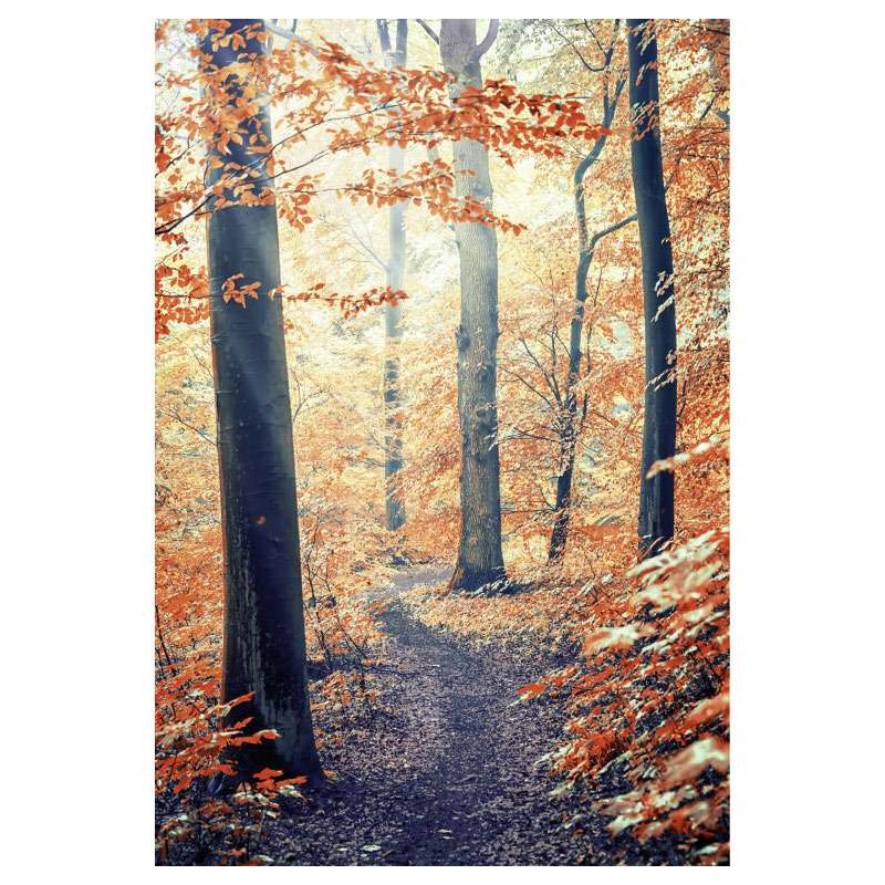 AUTUMN VIBRATIONS poster - Landscape and nature poster