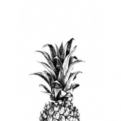 BLACK AND WHITE PINEAPPLE  canvas print