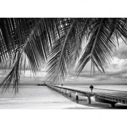 FIDJI B&W Canvas print