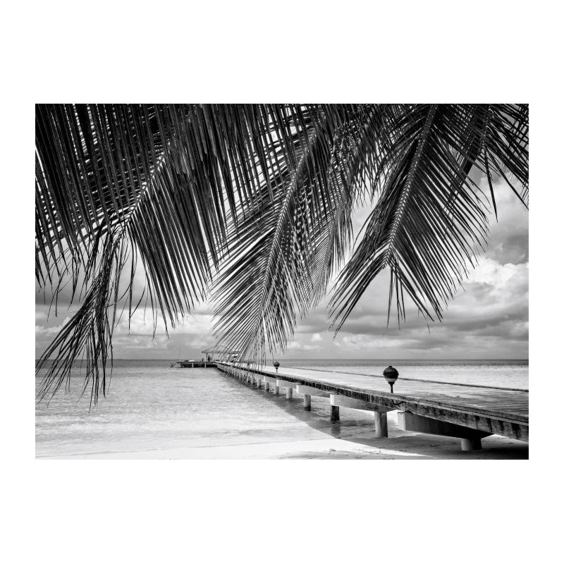 FIDJI B&W Canvas print - Office canvas print