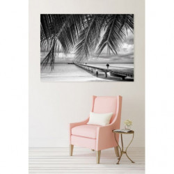 FIDJI B&W Canvas print