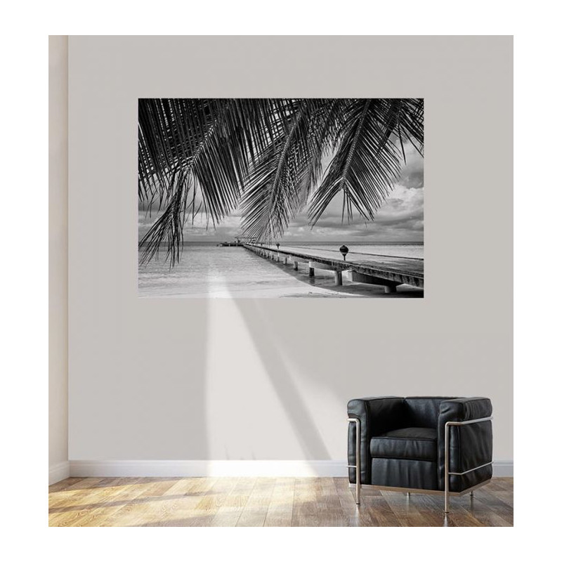 FIDJI B&W Poster