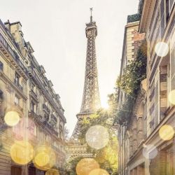 LES PAILLETTES DE PARIS