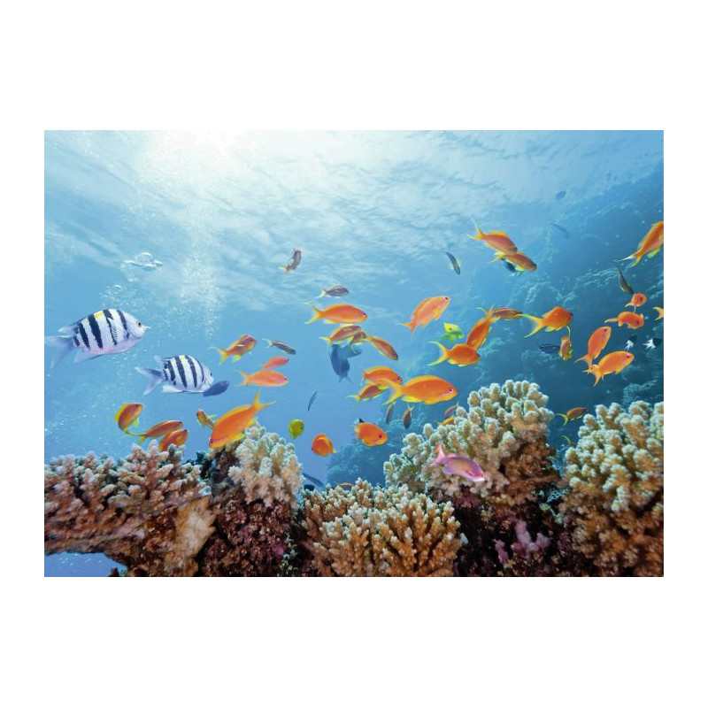 SEABED Canvas print